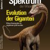 Evolution der Giganten: Wieso Sauropoden so ungeheuer groß wurden